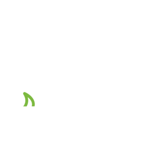 Programas de mantenimiento